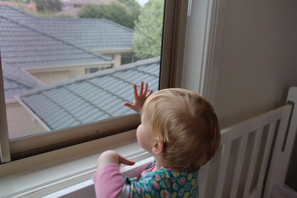 BasiX Security Screens