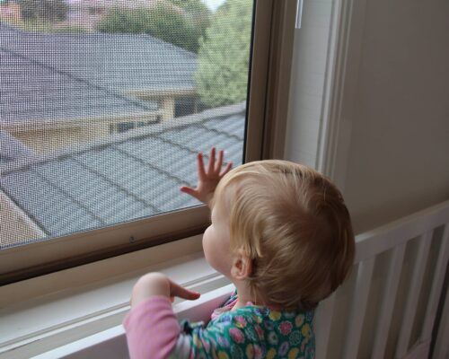 BasiX Security Screens