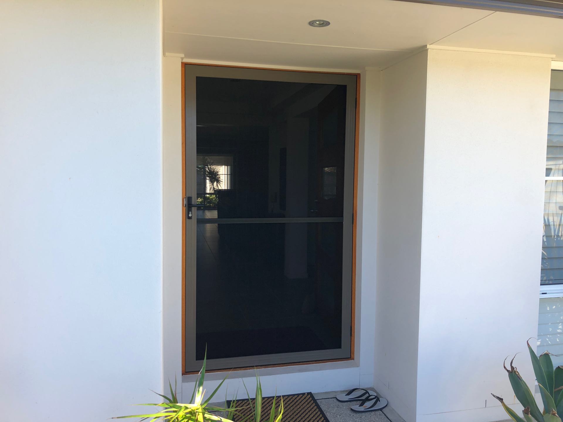 Flyscreen Door