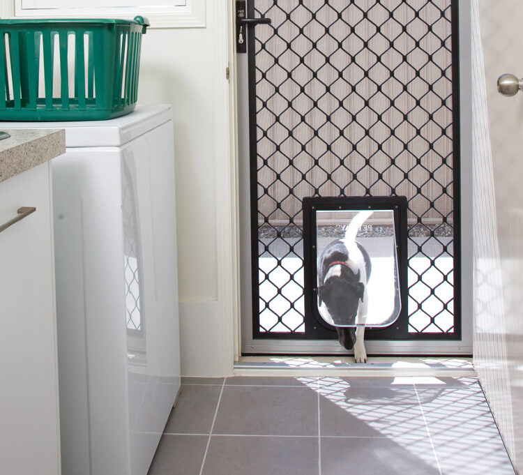 Pet Door Supply & Installation