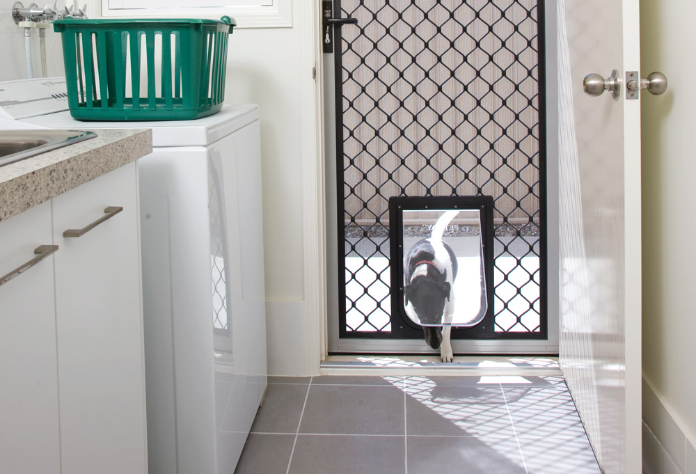 Pet Door Supply & Installation